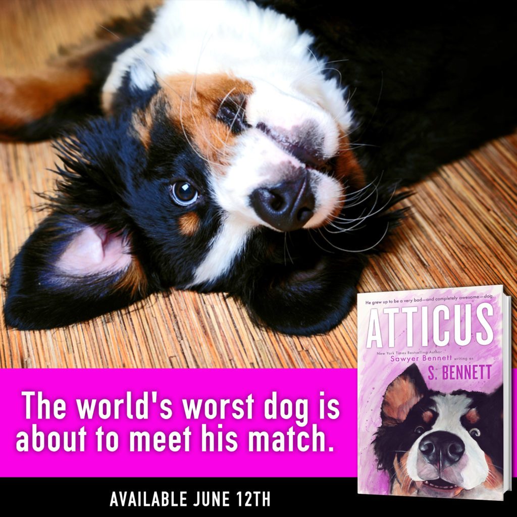 ATTICUS INSTA TEASER